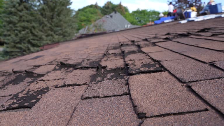 Best Metal Roofing Installation  in New Paris, OH