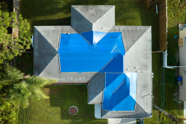Best Asphalt Shingles Roofing  in New Paris, OH