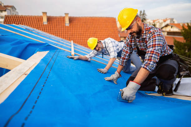 Best Chimney Flashing Repair  in New Paris, OH