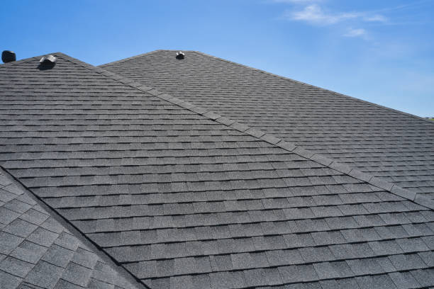 Best Roof Moss and Algae Removal  in New Paris, OH