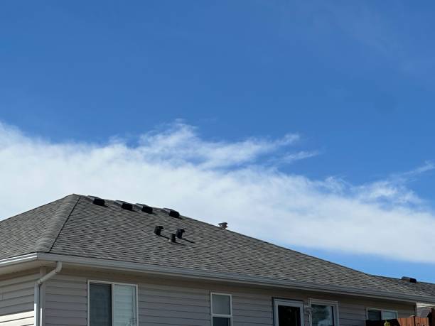 Best Roof Coating and Sealing  in New Paris, OH